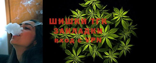 гидропоника Каменка