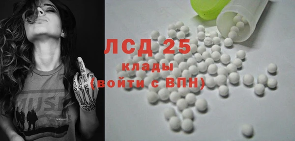 PSILOCYBIN Каменногорск
