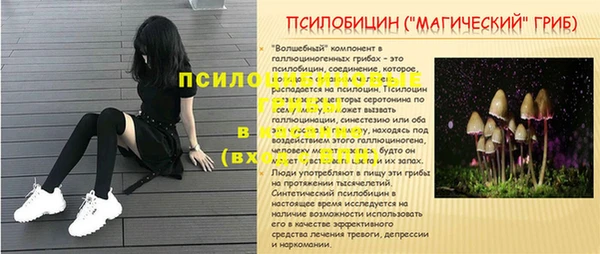 ешки Каменск-Шахтинский