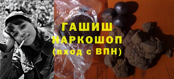 индика Пенза