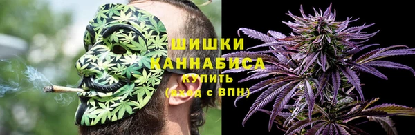PSILOCYBIN Каменногорск