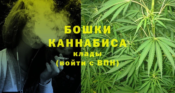 PSILOCYBIN Каменногорск