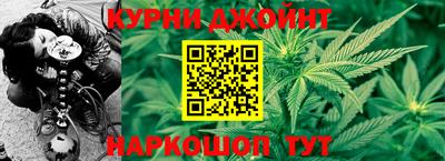 индика Камышлов