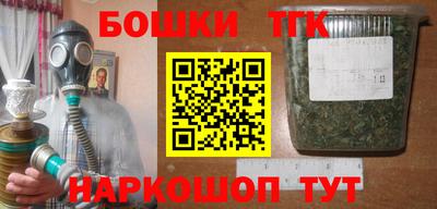 индика Камышлов