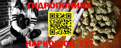 индика Камышлов