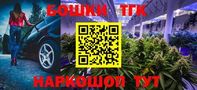 индика Камышлов
