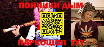 индика Камышлов