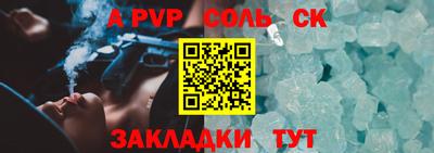 индика Камышлов