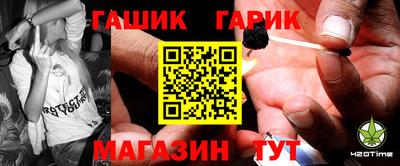 индика Камышлов