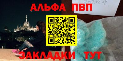индика Камышлов