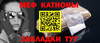 индика Камышлов