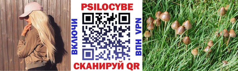 Псилоцибиновые грибы MAGIC MUSHROOMS  купить   Солнечногорск 