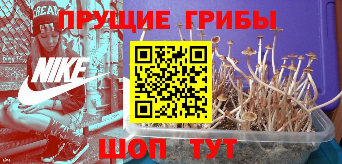 Галлюциногенные грибы Magic Shrooms  Галлюциногенные грибы MAGIC MUSHROOMS  как найти закладки  Вход с VPN  Солнечногорск 